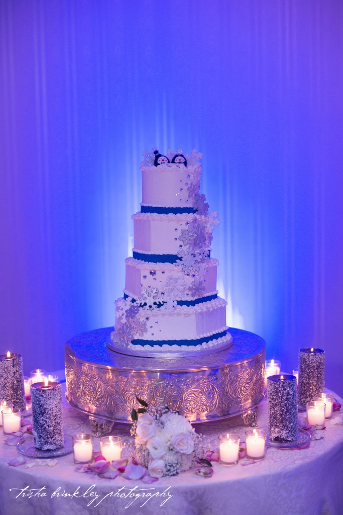 Cheryl and Tom's February 2014 wedding had a winter wonderland vibe.  The white cake with sparkly frosting was shown to its fullest with blue uplighting.  Don't you hear "Do you want to build a snowman?" when you look at this photo??  Photo courtesy of Trisha Brinkley Photography.